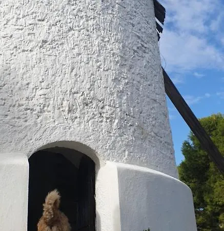 El Molino De Arriba * Níjar