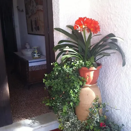 El Molino De Arriba