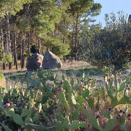 El Molino De Arriba