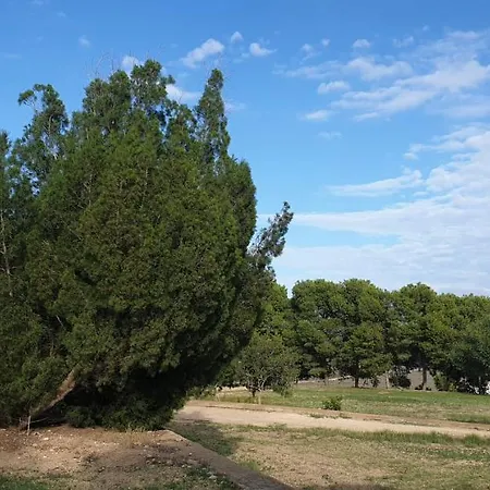 El Molino De Arriba Holiday home *