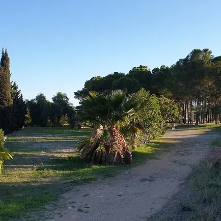 El Molino De Arriba * Nijar
